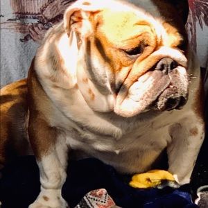 Meet your Posher, Donna